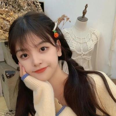 亡国的阿基德第2章：翼龙折翅